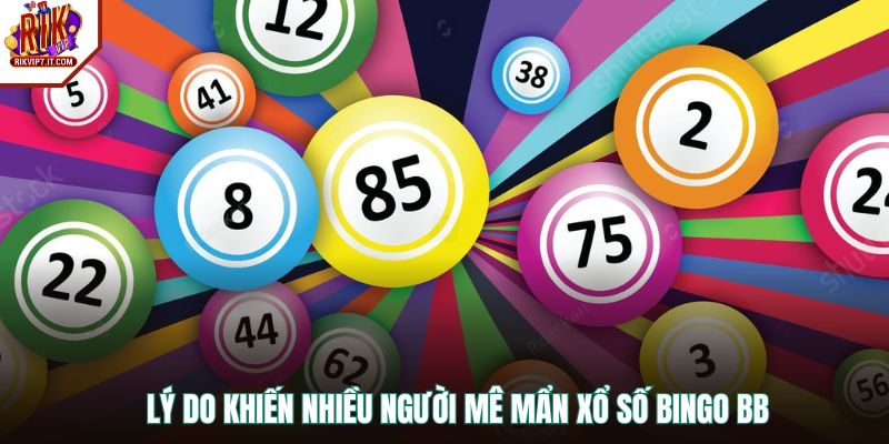 Lý do khiến nhiều người mê mẩn xổ số Bingo BB