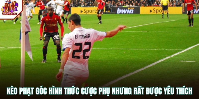 Kèo phạt góc hình thức cược phụ nhưng rất được yêu thích